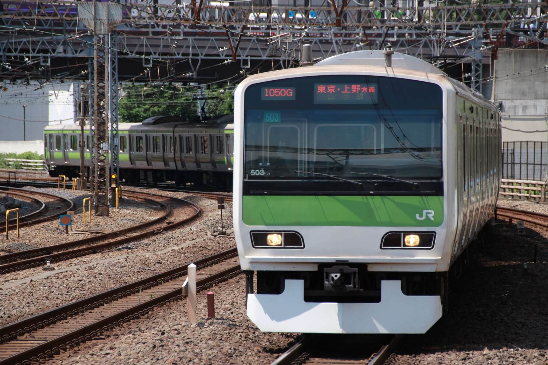 高輪　中学