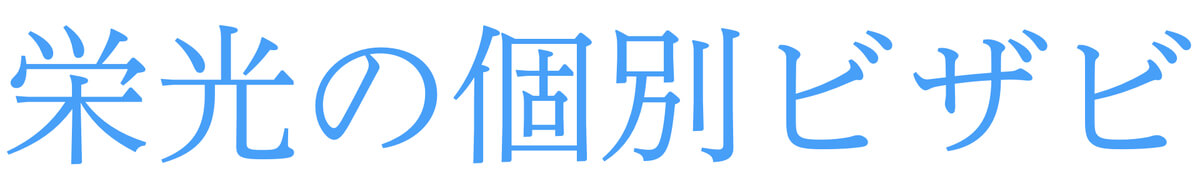 大学受験　塾　ビザビ