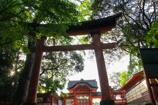 日本人なら知っておきたい文学作品！日本最初の勅選国史『日本書紀』を徹底解説