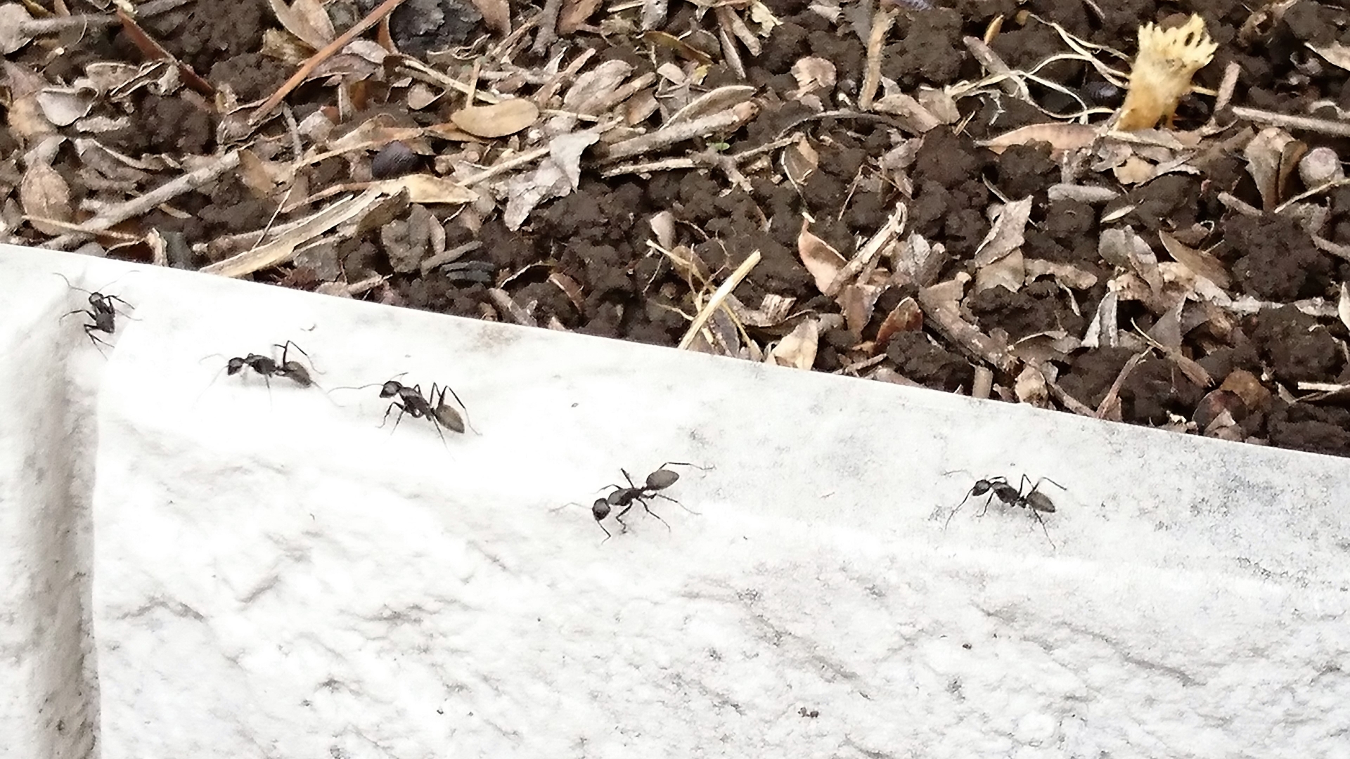 入試の理科が変わりつつある？成績アップのポイントをまとめよう