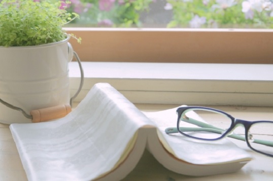 時間のない受験生にも本を読ませたい？国語の勉強になる本と頻出の小説作家