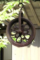 【中学受験】桜蔭中学校の入試の傾向と対策理科編