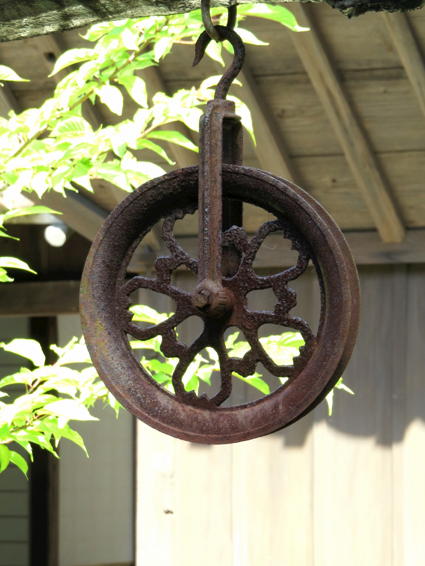 【中学受験】桜蔭中学校の入試の傾向と対策理科編