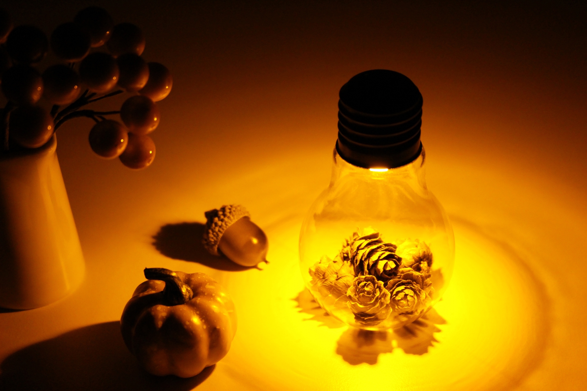 【中学受験】４年生で理科を苦手にしないための工夫