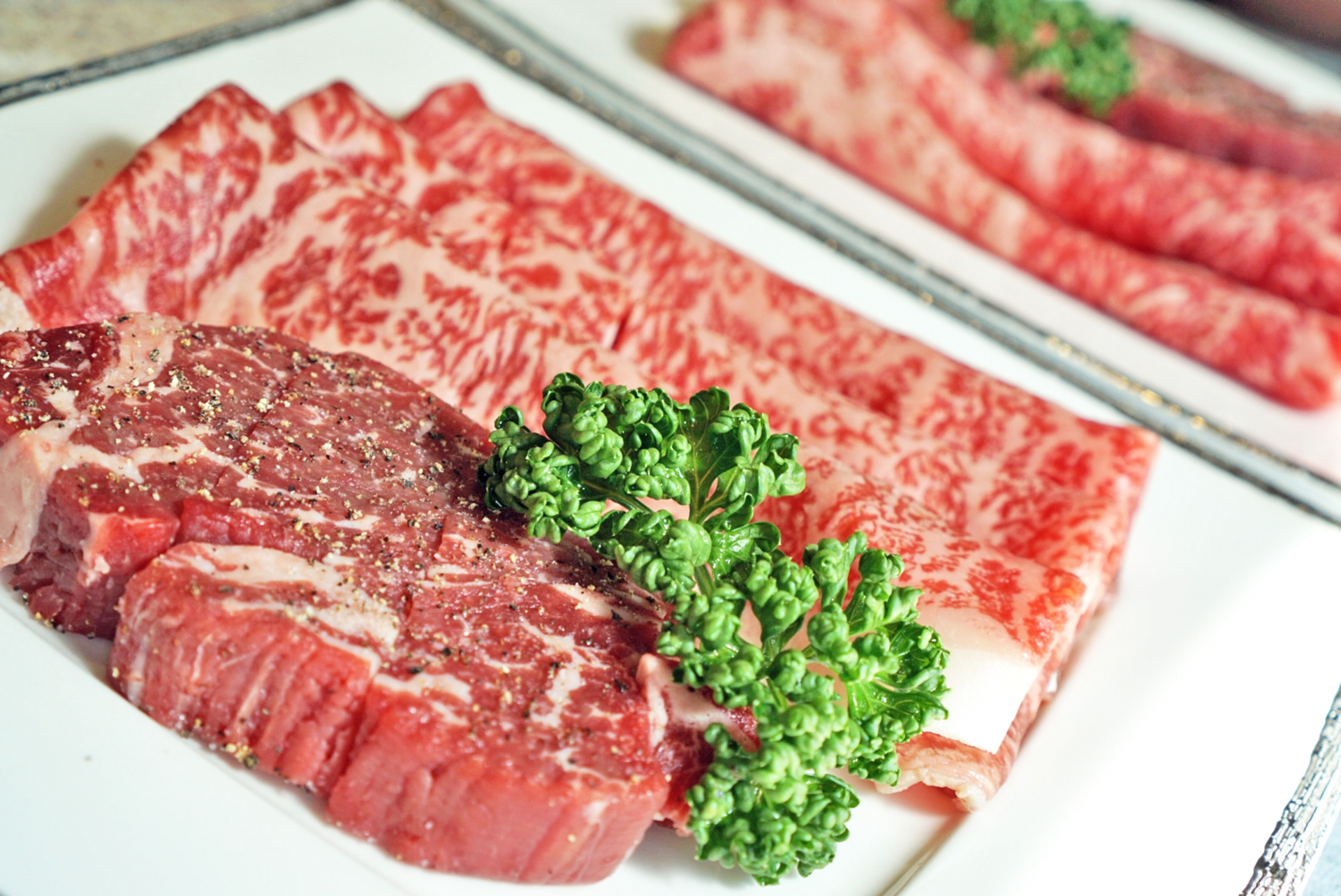 【中学受験】苦手意識の強い「人体」を克服するポイント