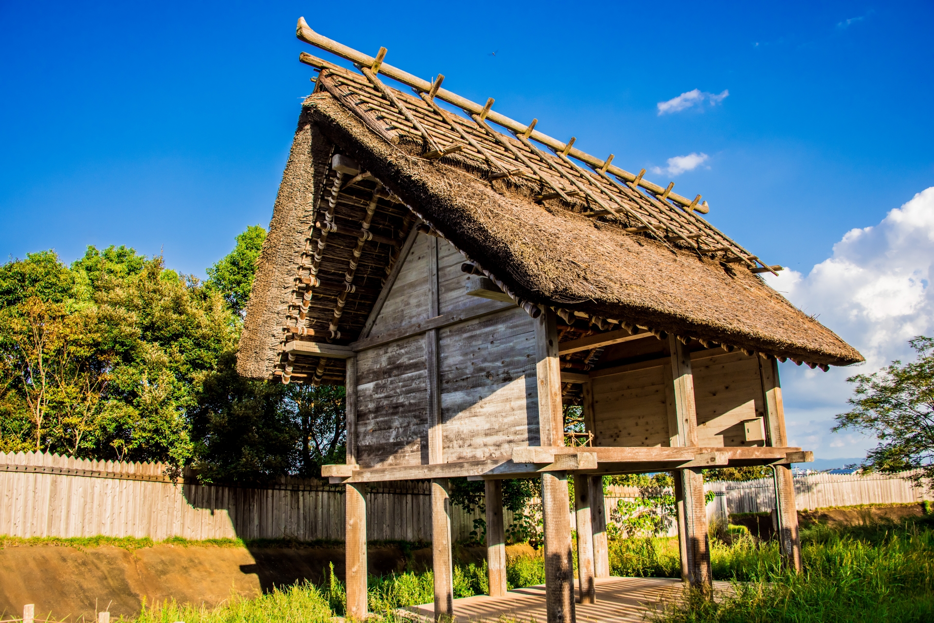 【中学受験】意外と大切な弥生時代の知識を復習しよう