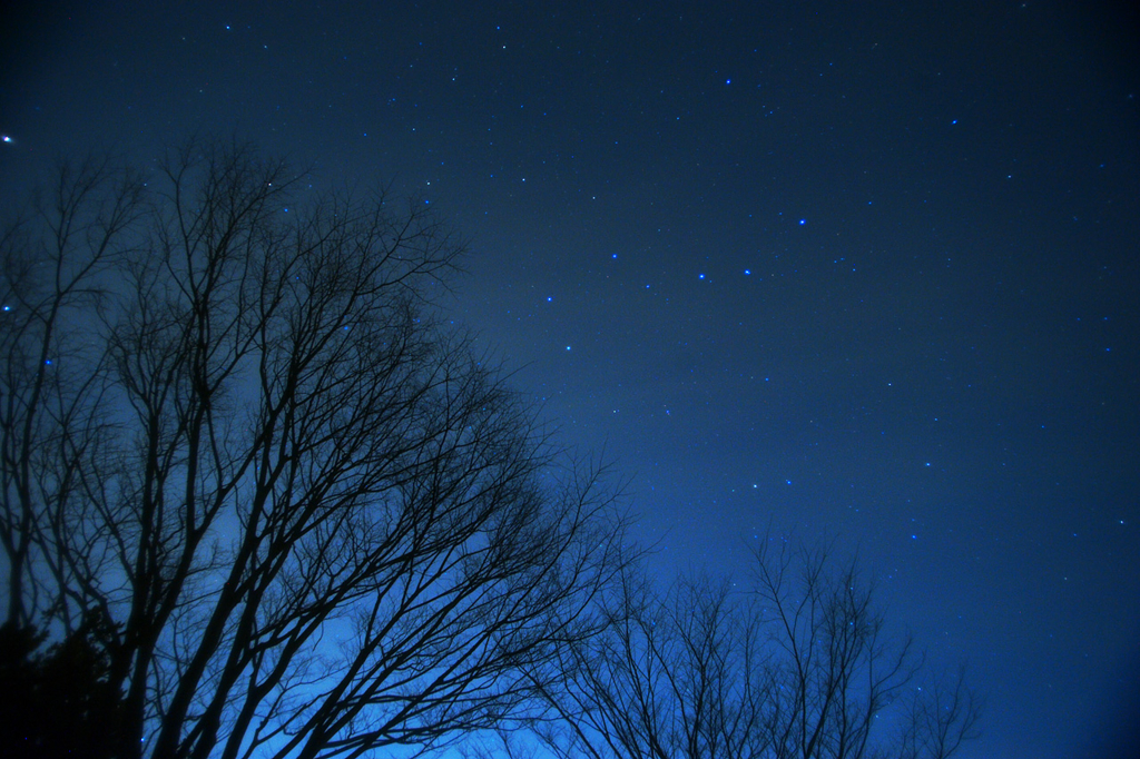 眠れない夜におすすめの映画6 選！あらすじ・見どころ・視聴可能なサービスなど