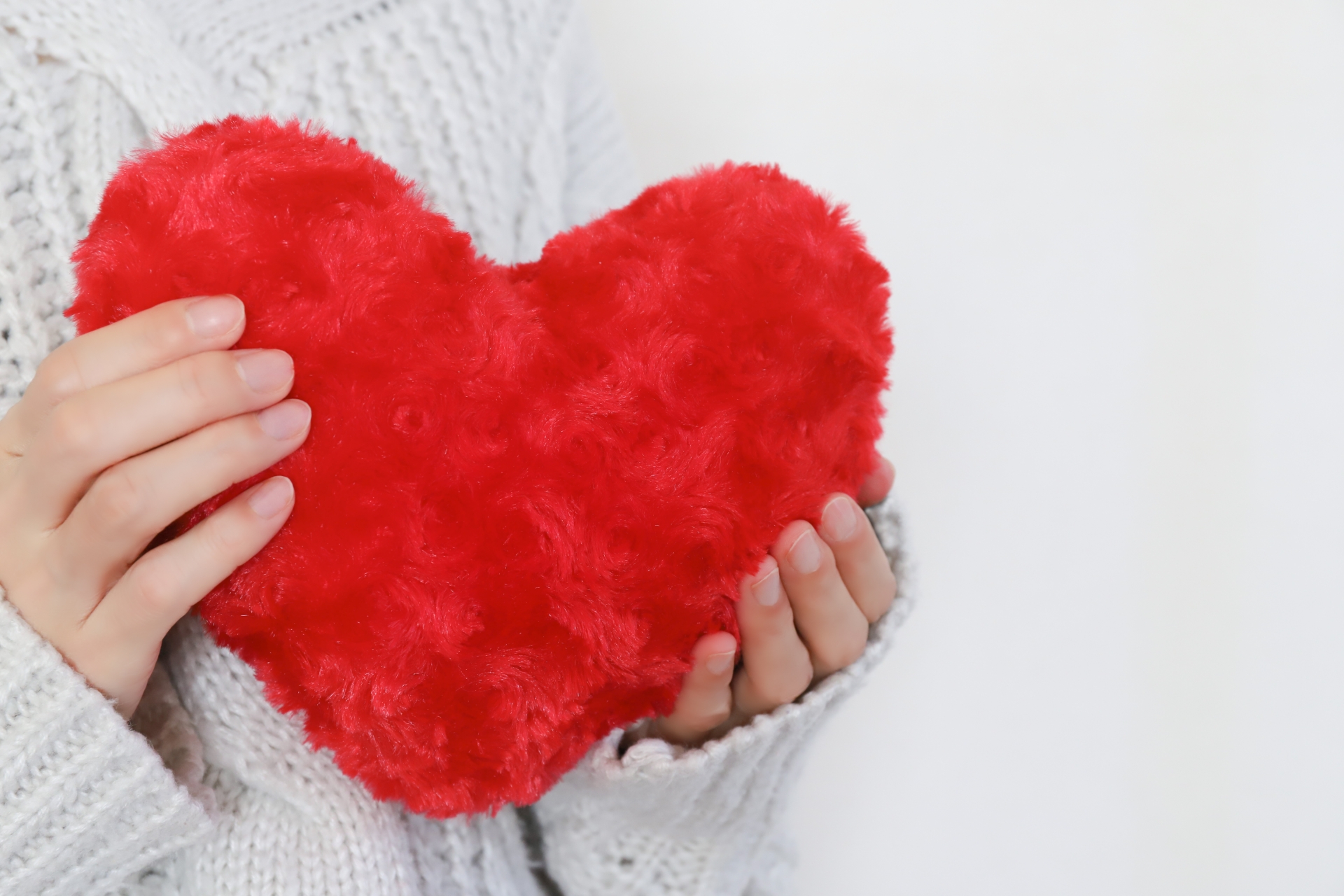 【宝仙学園中学校・2017年過去問】小説読解シリーズ③～気持ちの変化を読む～