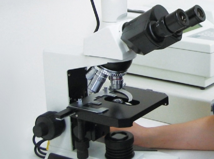 理科の勉強法～「ヒトのからだ」苦手になりやすい２つの理由と克服法