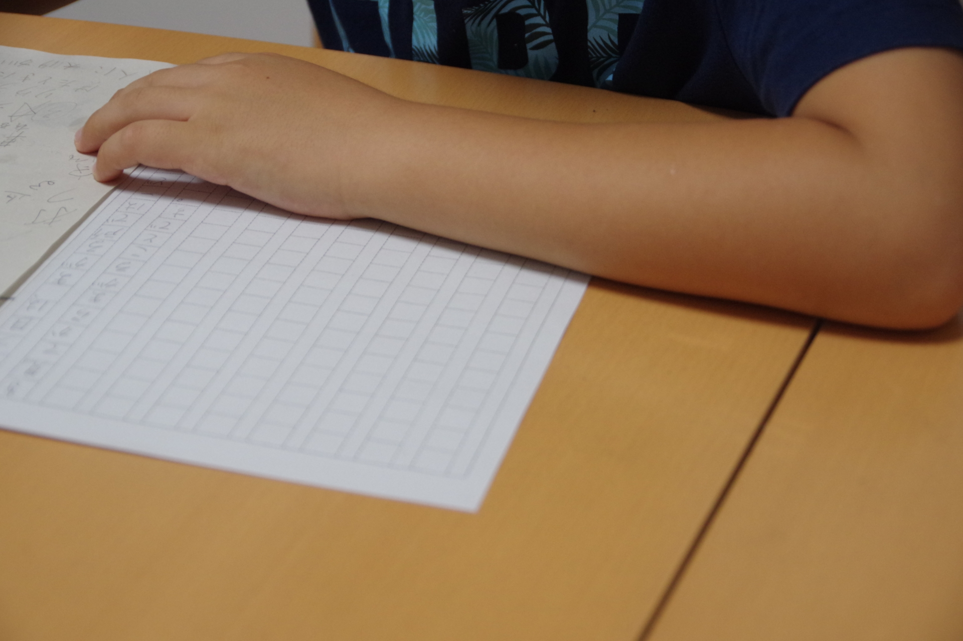 【中学受験】桜蔭中学校の入試の傾向と対策　国語編