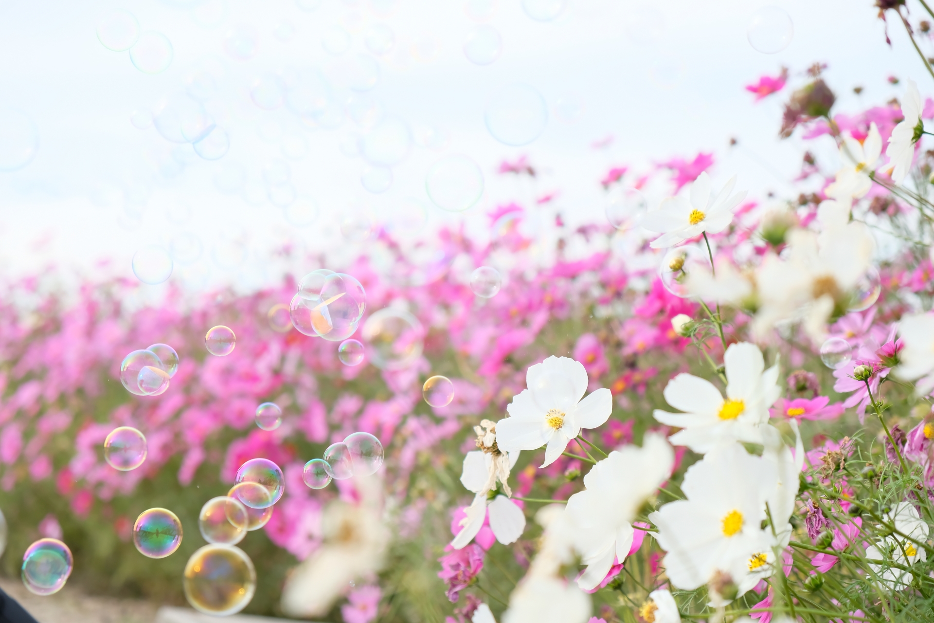 てこと力のつり合い～浮力と力のつり合いを使った複合問題に挑戦しよう！～