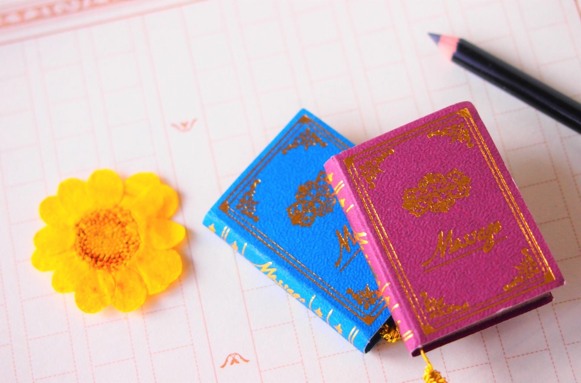 急に国語ができなくなった？5年生で感じる国語の壁を乗り越えて偏差値を10上げる方法【中学受験】