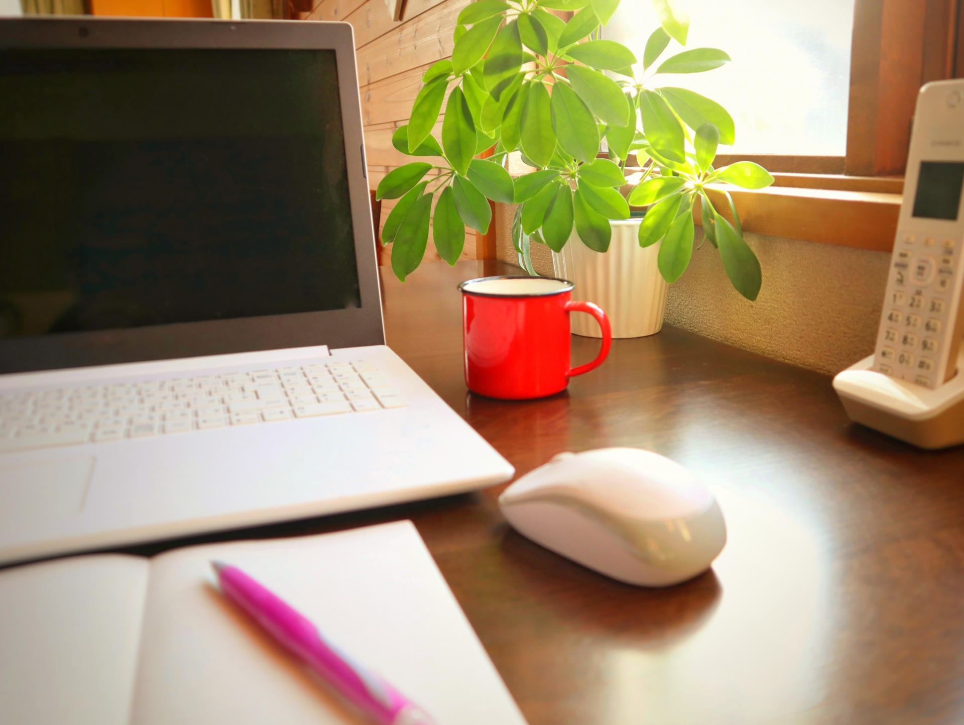 オンライン説明会の利用方法！賢く活用して入試に備えよう