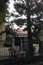 立教女学院中学に合格するためには？評判や入試情報をチェック！