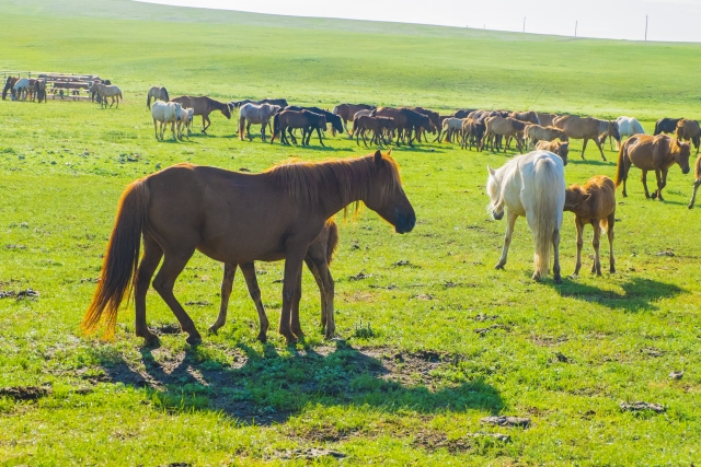 漢文問題読解・解説『淮南子（えなんじ／わいなんし）』[大学受験漢文過去問解説シリーズ]