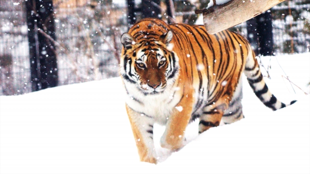 漢文問題読解・解説『法苑珠林』（ほうおうじゅりん）[大学受験漢文過去問解説シリーズ]