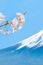 渋谷教育学園幕張中学校社会2021年度過去問解説〜日本の地形・山脈〜