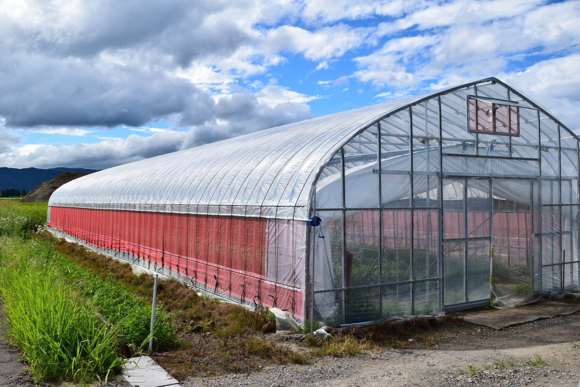 【地図問題・解説付き】記述問題でも頻出！日本の農業で見られる生産のくふうについて説明します