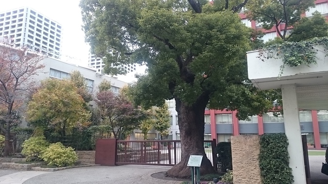 これで解決！海城中学校国語の特徴と対策法を徹底検証！