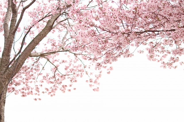 中学受験パパの中学校訪問記～男子校・共学校編