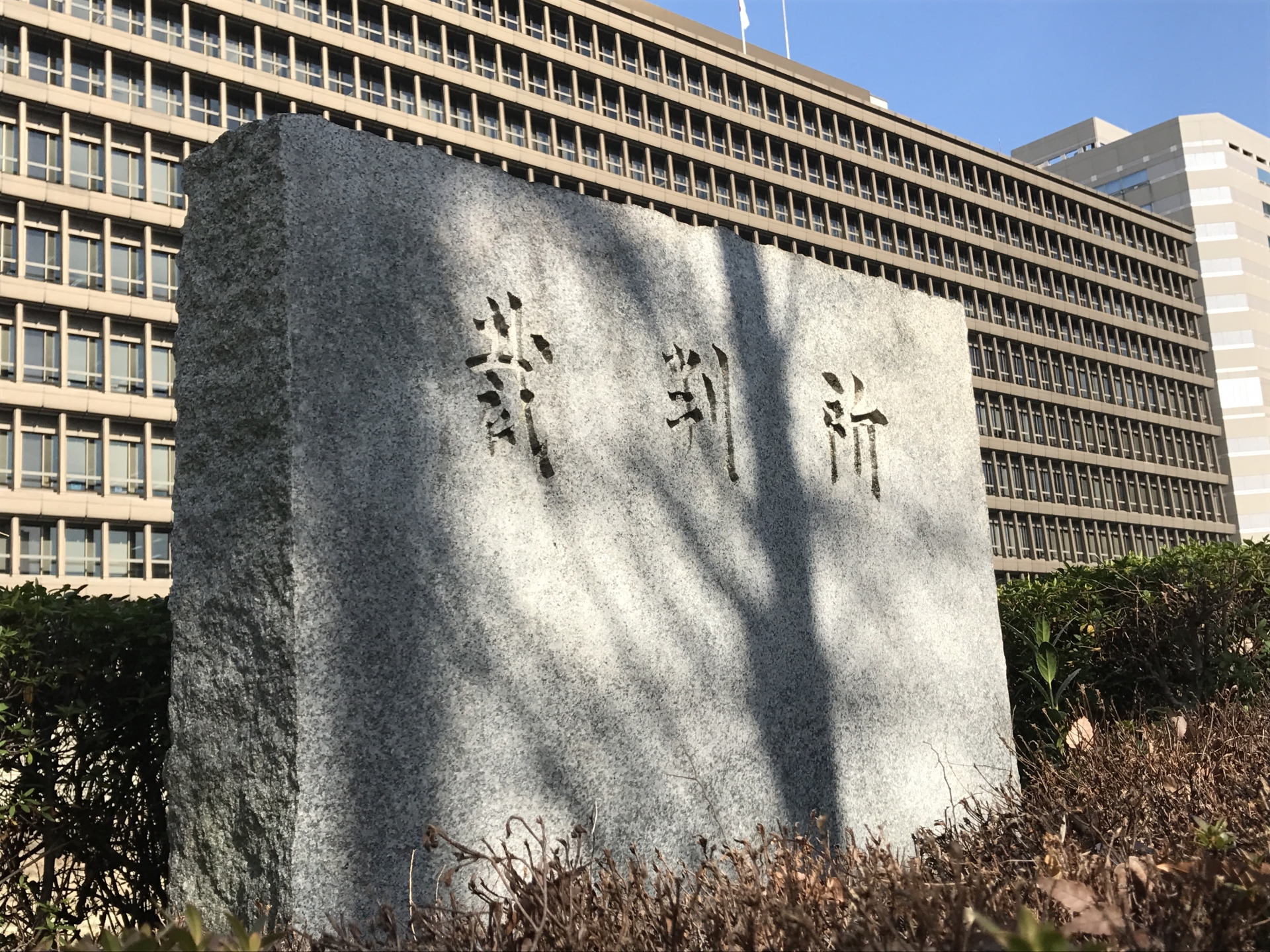 社会問題読解〜日本の内閣・国会・裁判所〜