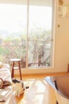 家での勉強は集中できない？家で勉強をはかどらせるツールをご紹介します
