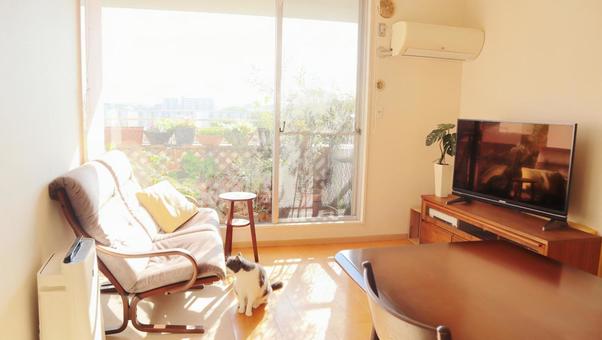 家での勉強は集中できない？家で勉強をはかどらせるツールをご紹介します