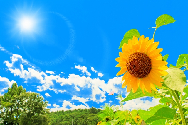 【中学受験】大切な６年生の夏休みの、ラストスパートへの影響力とは？