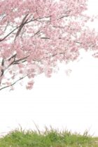 春休みは絶好の復習チャンス！この機会にすべきこと3選