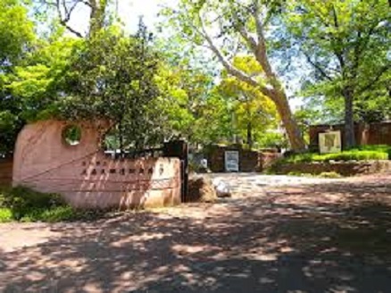 中学受験・社会　歴史～古代の知識、忘れていませんか？