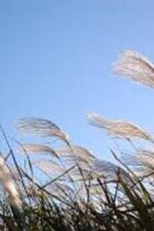 理科で間違えやすい「風」を攻略するポイントは？