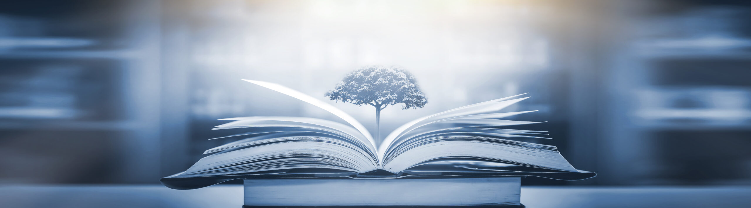 【大学受験英語の勉強法】英文解釈・長文読解の効果的な勉強法とは？おさえるべき３つのポイントを解説！