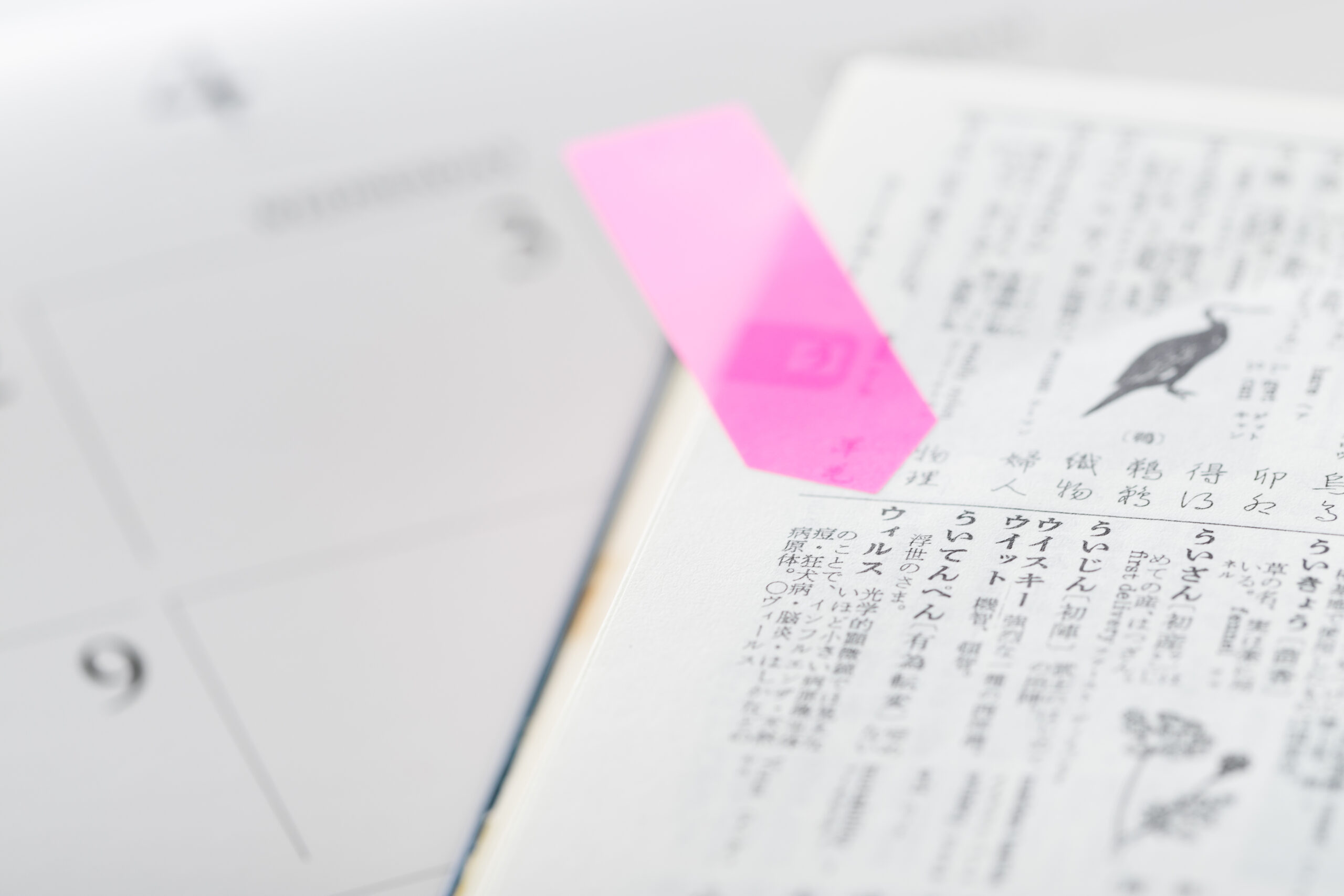 【医学部医学科受験も増加中！変化を遂げる女子伝統校】学習院女子中等科の国語の特徴を徹底解説！対策編