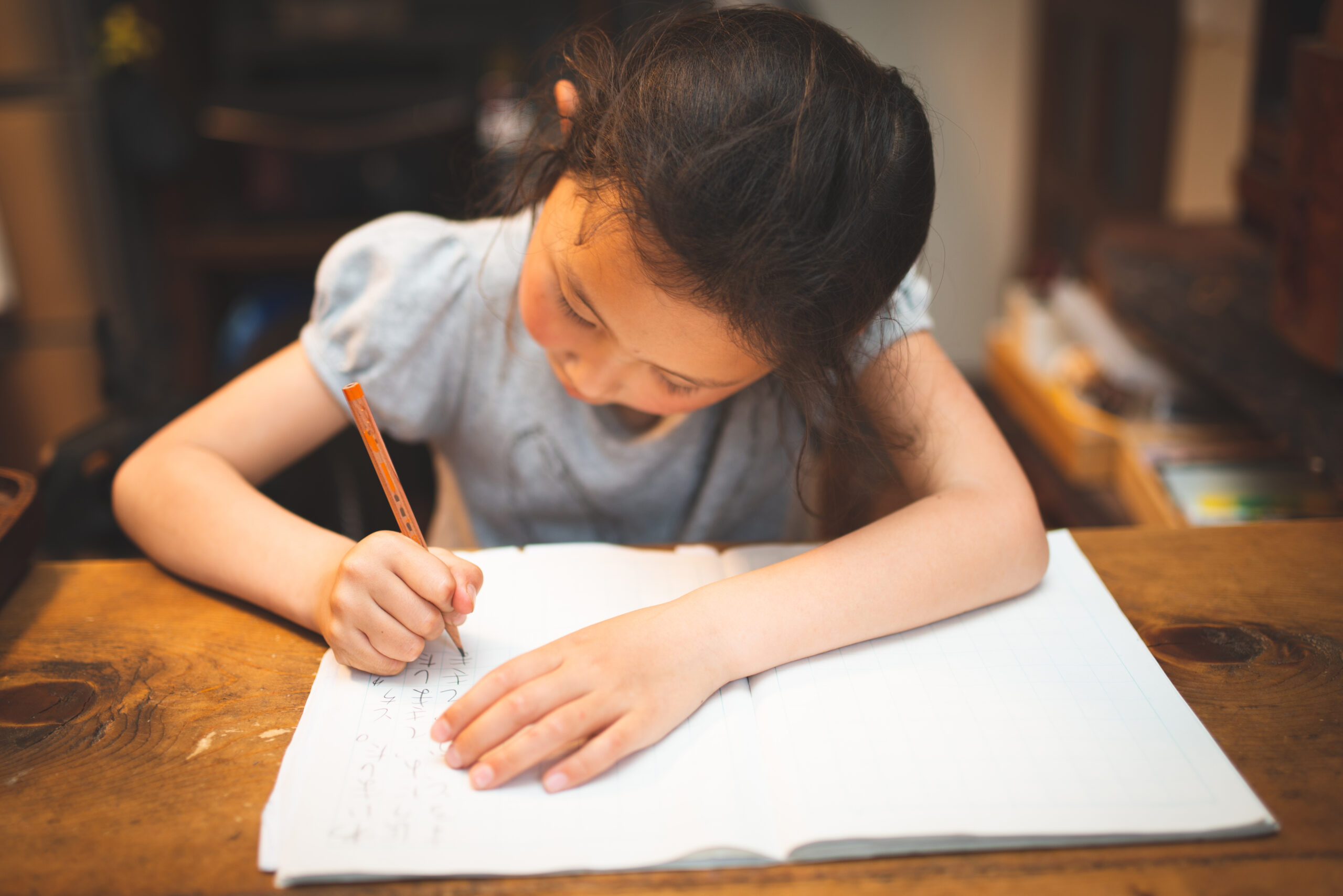 【文系理系ともに進学実績豊富で人気！】鴎友学園中学校の入試の国語の特徴を徹底解説！分析編その２