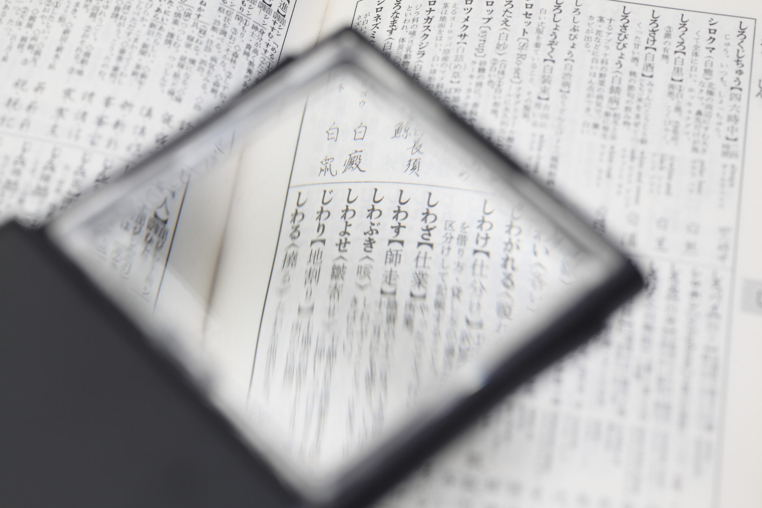 【古都鎌倉の地で知・徳・体のバランスがとれた教育を実践！】鎌倉学園中学校の国語の特徴を徹底解説！対策編