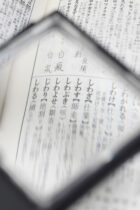 【古都鎌倉の地で知・徳・体のバランスがとれた教育を実践！】鎌倉学園中学校の国語の特徴を徹底解説！分析編その2