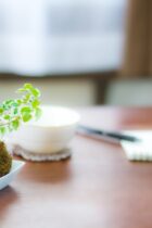 家での勉強はどこがオススメ？子供に適した学習環境【中学受験】