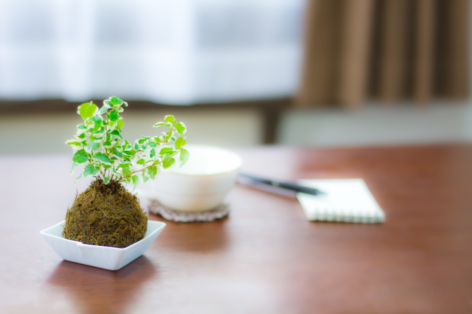 家での勉強はどこがオススメ？子供に適した学習環境【中学受験】