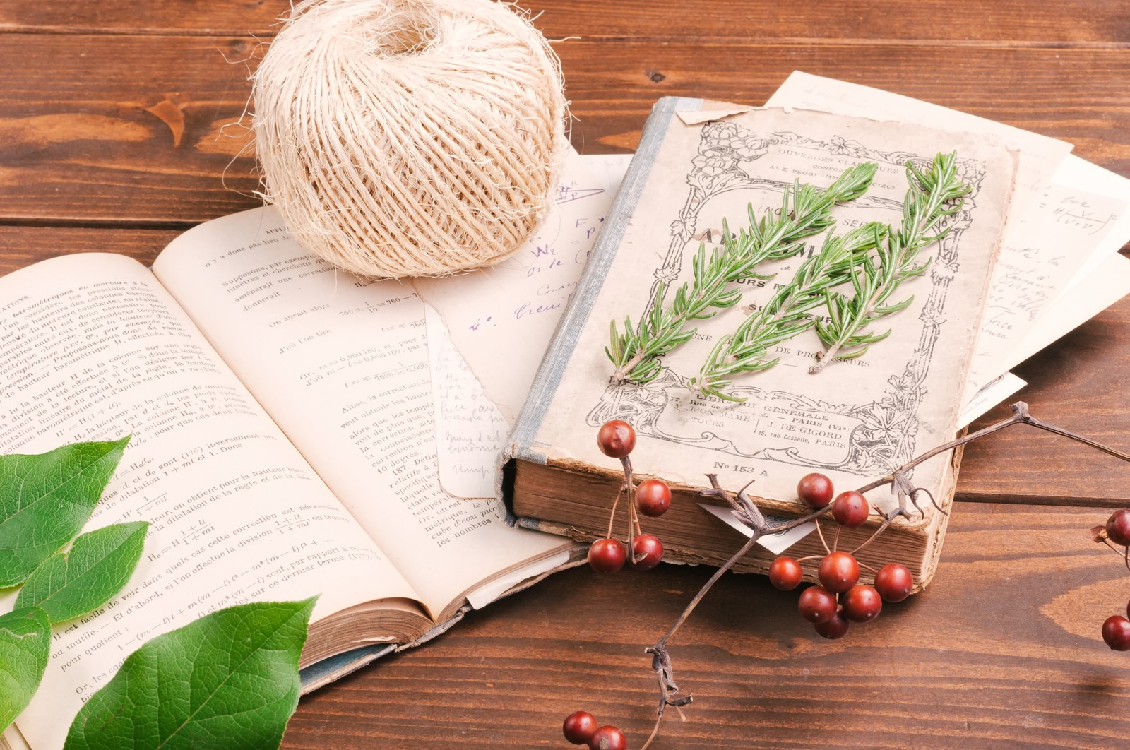 【中学受験】休校中の今だからできる！苦手分野勉強法・克服法　国語対策編その１