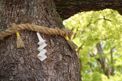 日本人なら知っておきたい文学作品！現存する日本最古の書物『古事記』