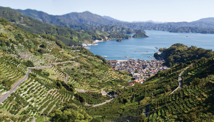 食料自給率の低下の何が問題なの？日本の農業・農家の問題点と、食の安全をめぐる課題について説明します