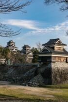 中学受験・社会　社会保障に関連するカタカナ用語を整理する