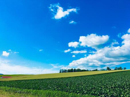 政治経済をサクッと復習！「自然権」と「参政権」の成立［人権宣言・制限選挙］