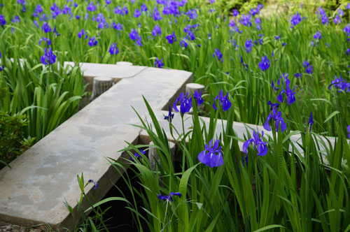 日本人なら知っておきたい文学作品！在原業平をモデルとした昔男の物語『伊勢物語』
