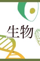 キーワードは『丸暗記量を減らし、しくみを理解する！』〜初学者必見の生物暗記方法〜