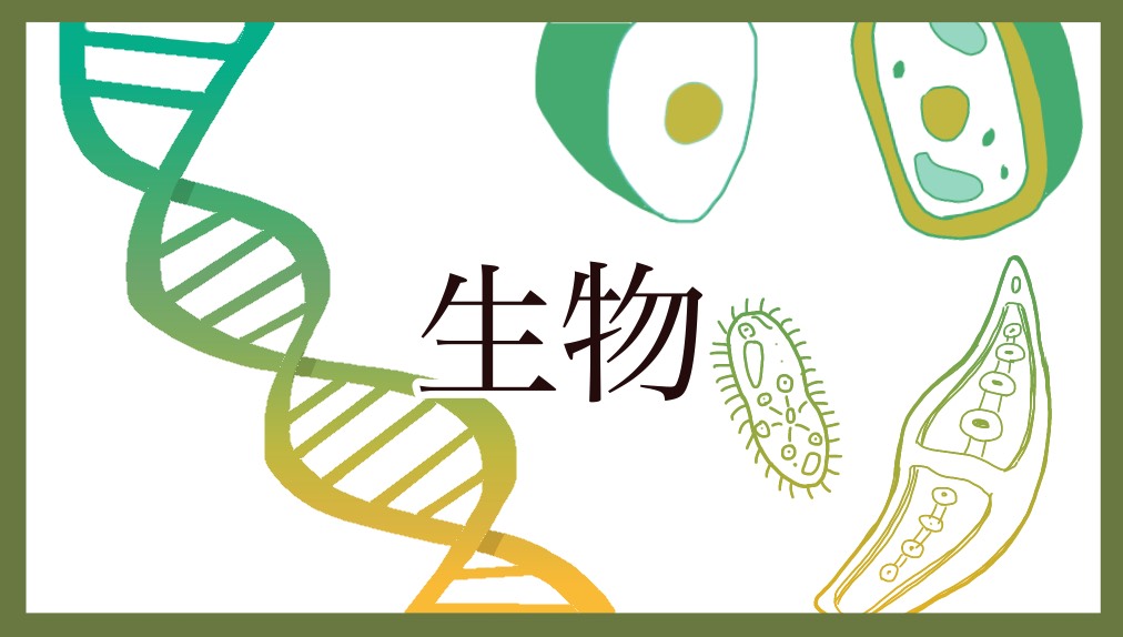 生物を基礎からわかりやすく！重要な物質「タンパク質」の構造と性質について