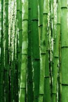 日本人なら知っておきたい文学作品！物語の出で来はじめの祖『竹取物語』