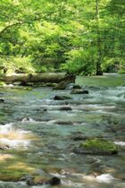 これだけは覚えよう！日本の川　・湖・平野