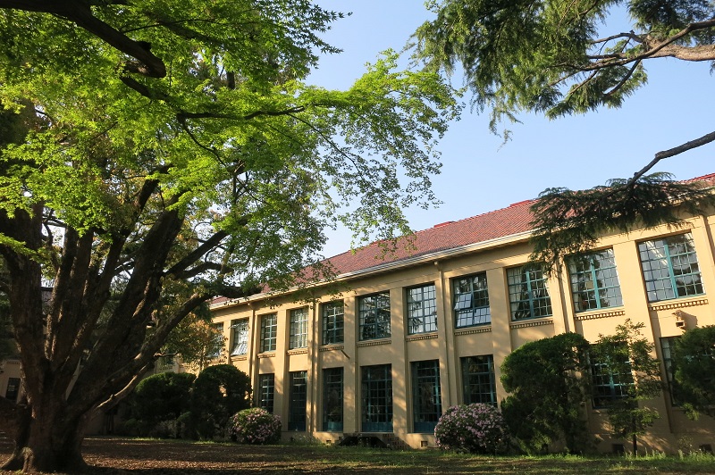 これで解決！立教女学院中学校算数の特徴と対策法を徹底検証！