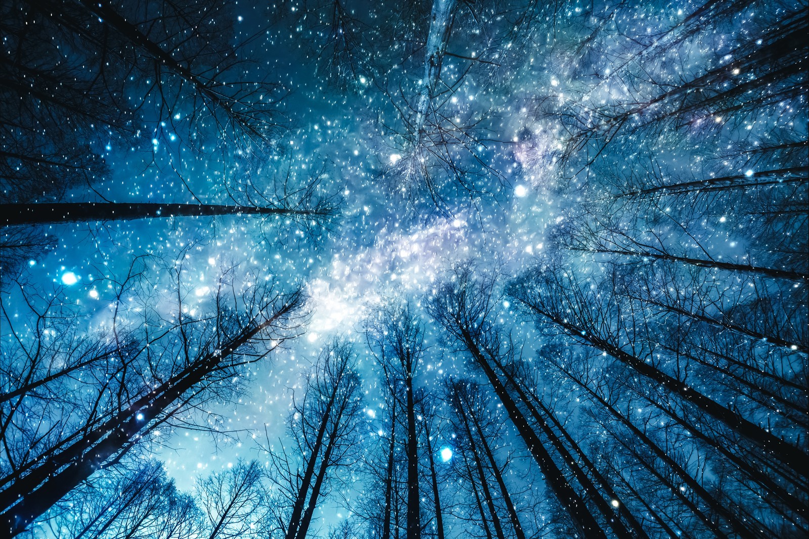 【中学受験】今だからできる！理科勉強法・克服法　地学編